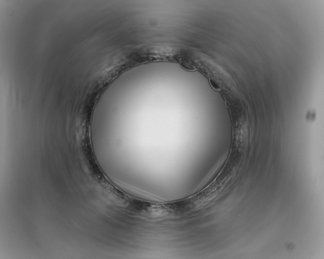 X0000096130608200802011150
