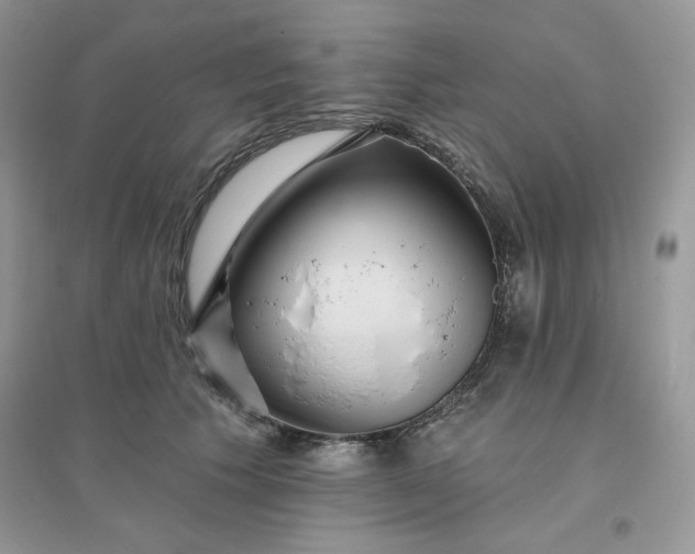X0000096130609200802011150