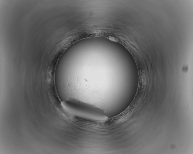 X0000096130611200802011150