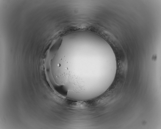 X0000096130612200802011150