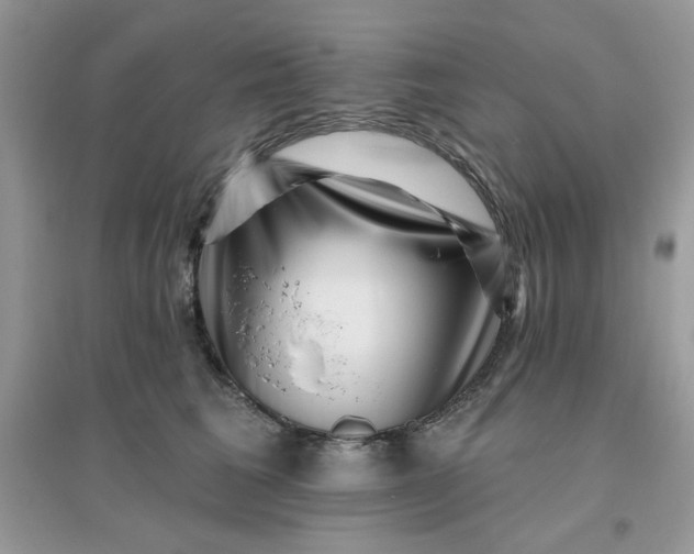X0000096130613200802011150