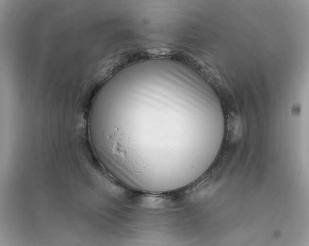 X0000096130614200802011150