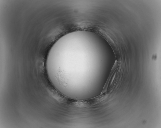 X0000096130615200802011149