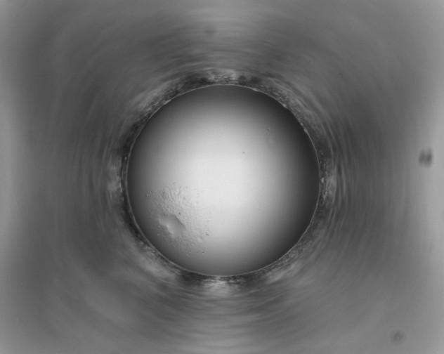 X0000096130616200802011149
