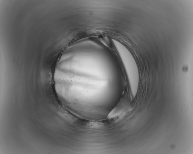 X0000096130617200802011149