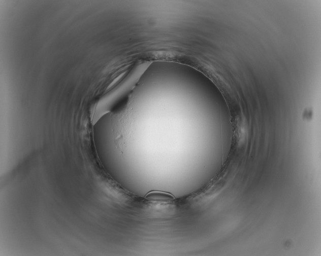 X0000096130619200802011149
