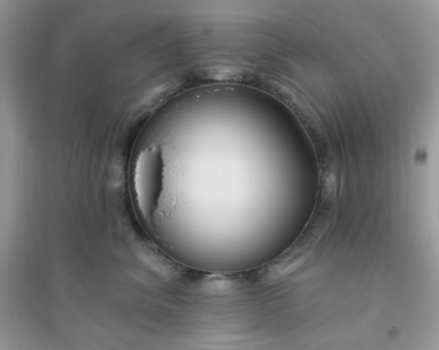 X0000096130620200802011149