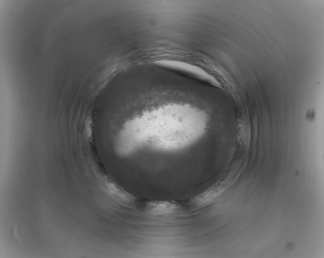 X0000096130621200802011149