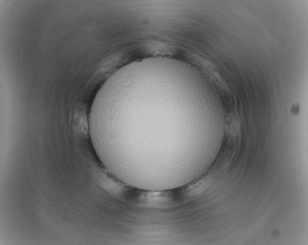 X0000096130622200802011149