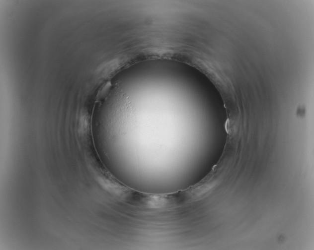 X0000096130623200802011149