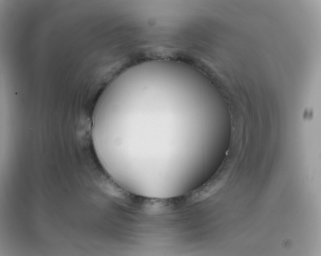 X0000096130624200802011149