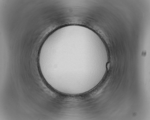 X0000096130625200802011149