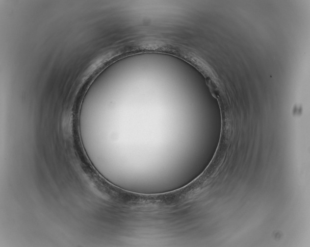 X0000096130626200802011149