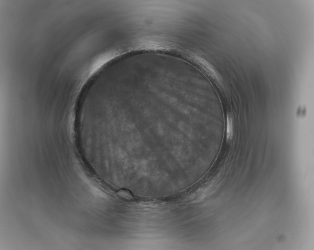 X0000096130627200802011149