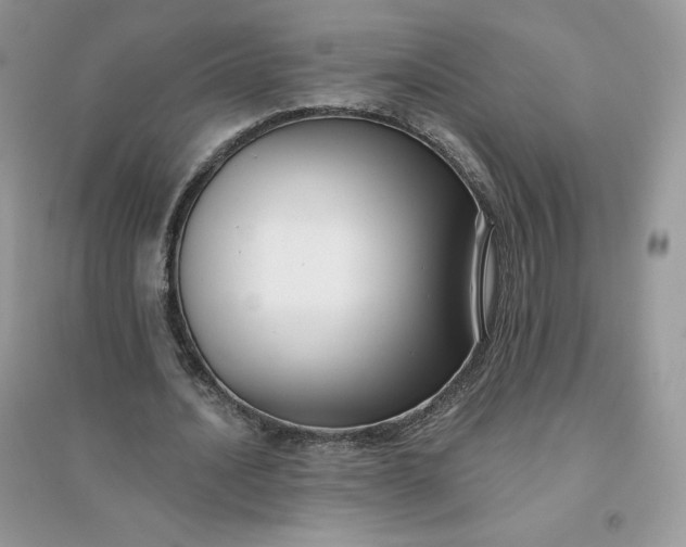 X0000096130628200802011149