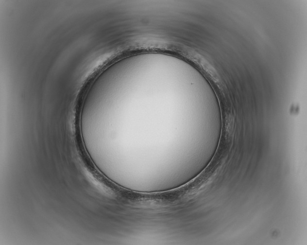 X0000096130629200802011149