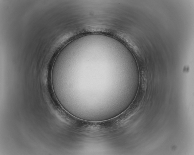 X0000096130631200802011149
