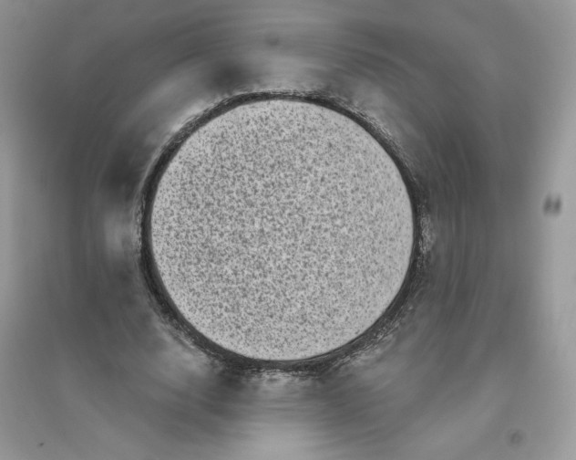 X0000096130632200802011149