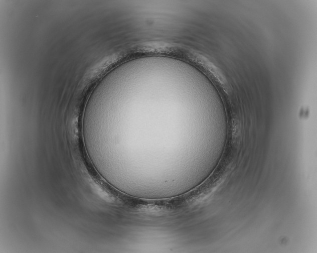 X0000096130633200802011149