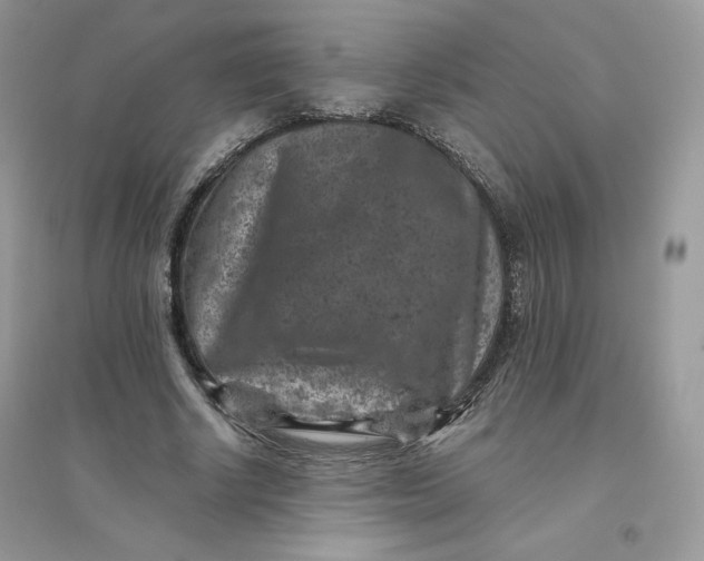 X0000096130634200802011149