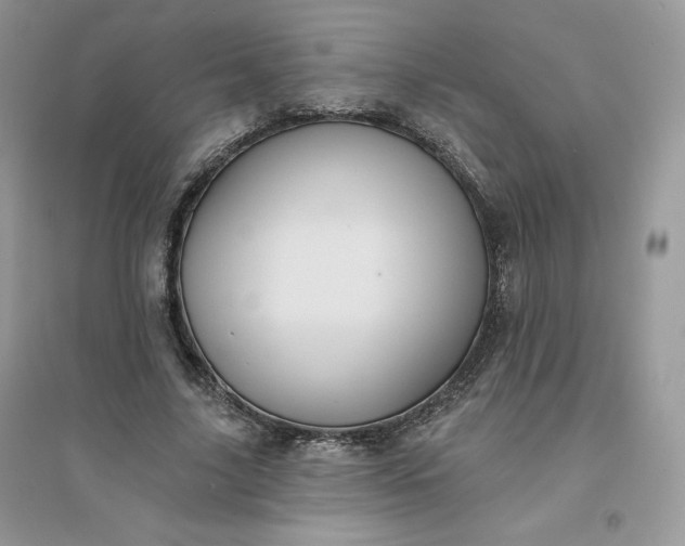 X0000096130635200802011149