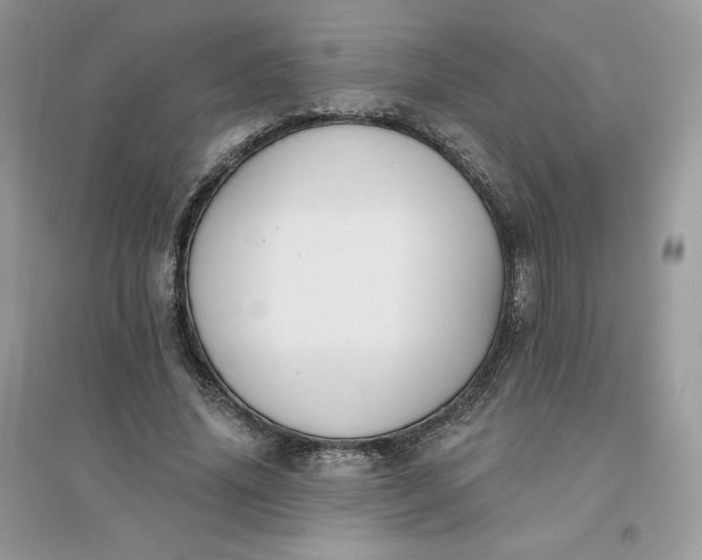 X0000096130636200802011149