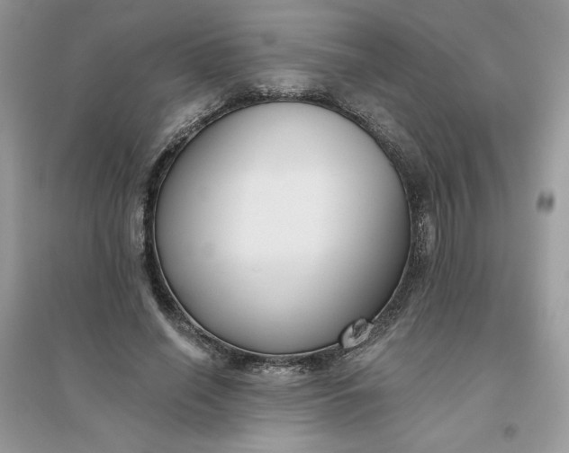 X0000096130638200802011149