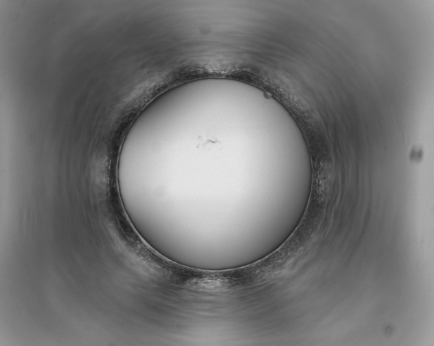X0000096130639200802011149