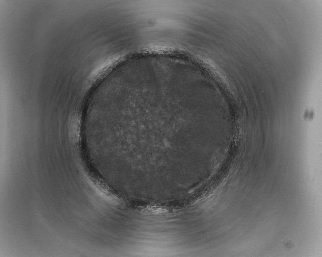 X0000096130640200802011149