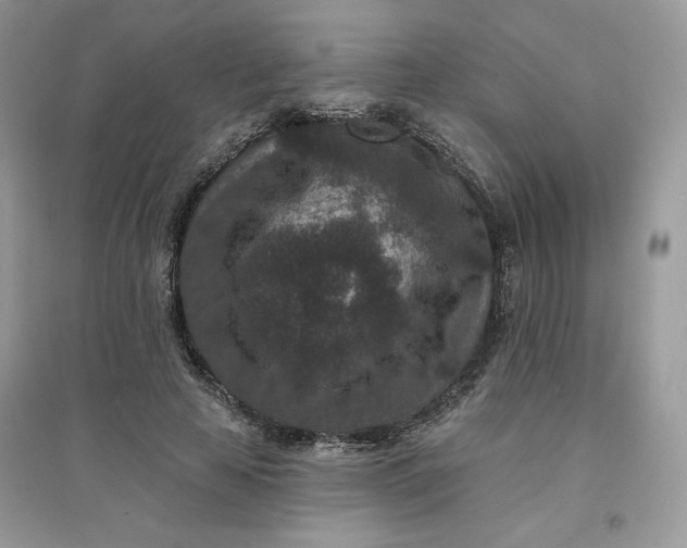 X0000096130641200802011149
