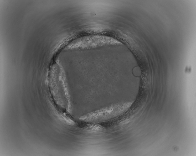 X0000096130642200802011149