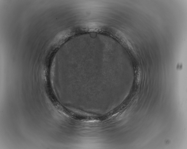 X0000096130643200802011149