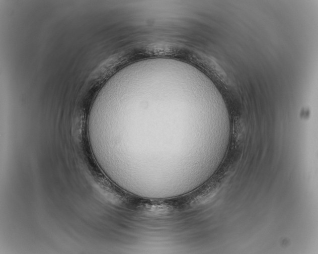 X0000096130645200802011149
