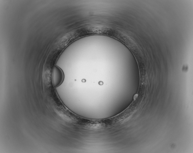 X0000096130646200802011149