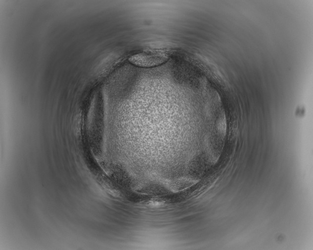 X0000096130647200802011149