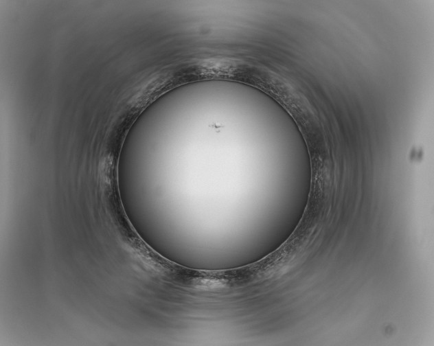X0000096130649200802011149