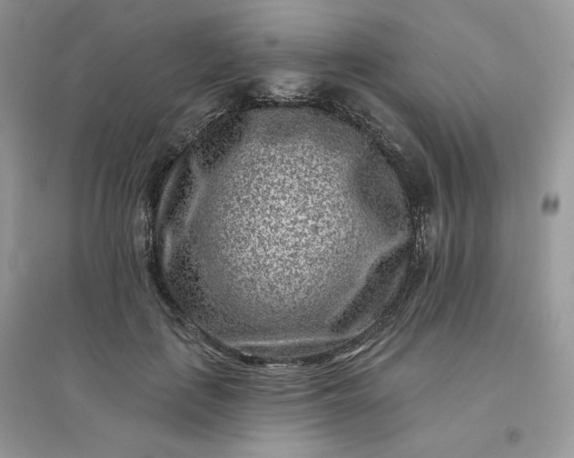 X0000096130651200802011149