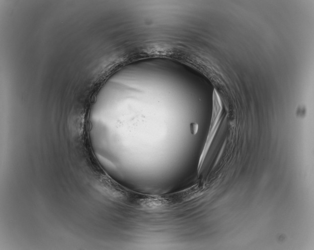 X0000096130652200802011149