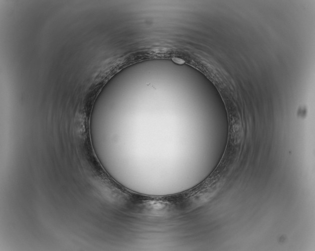 X0000096130654200802011149