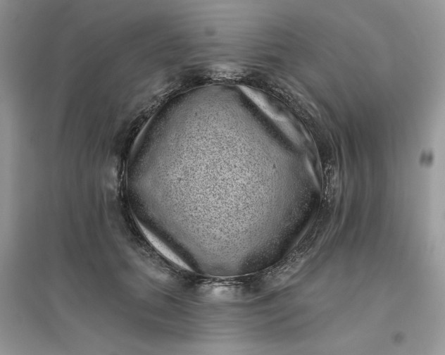X0000096130655200802011149