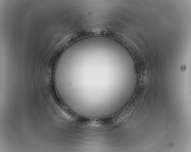 X0000096130656200802011149
