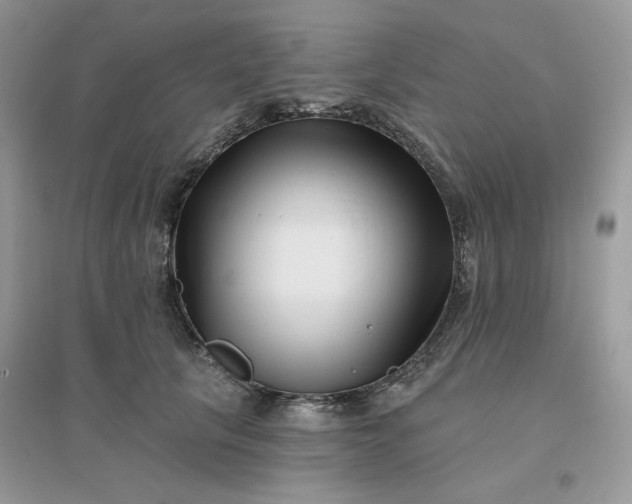 X0000096130657200802011149