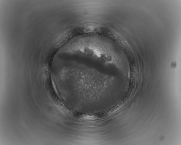 X0000096130659200802011149