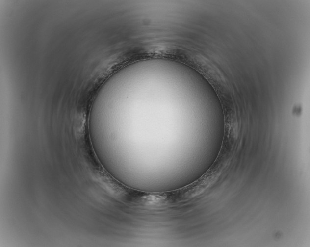 X0000096130660200802011149