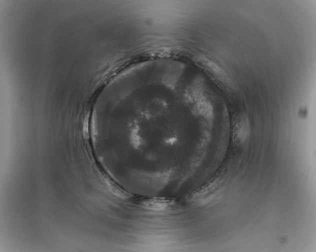X0000096130661200802011149