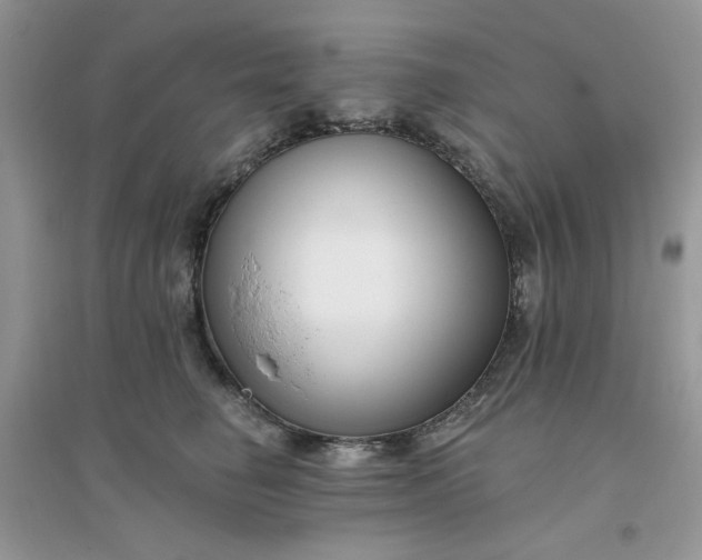 X0000096130662200802011149
