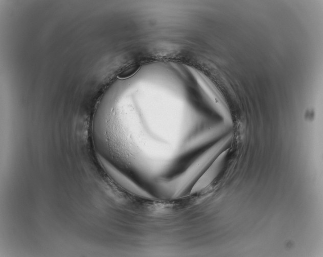 X0000096130664200802011149