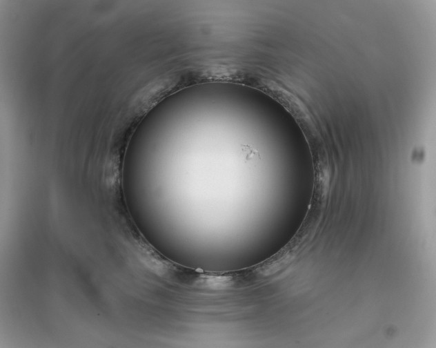 X0000096130665200802011149