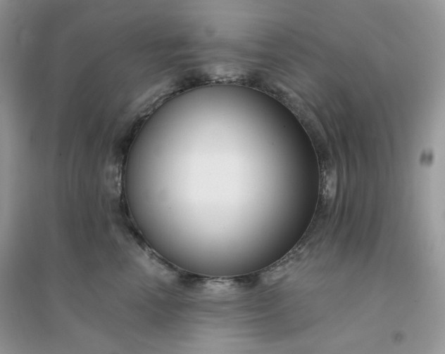 X0000096130666200802011149