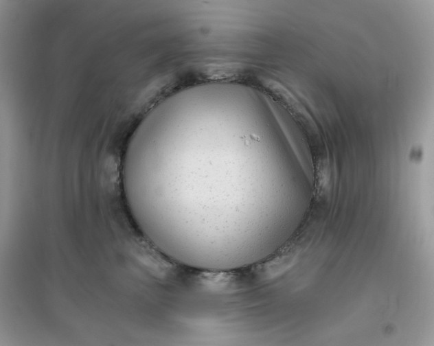 X0000096130667200802011149